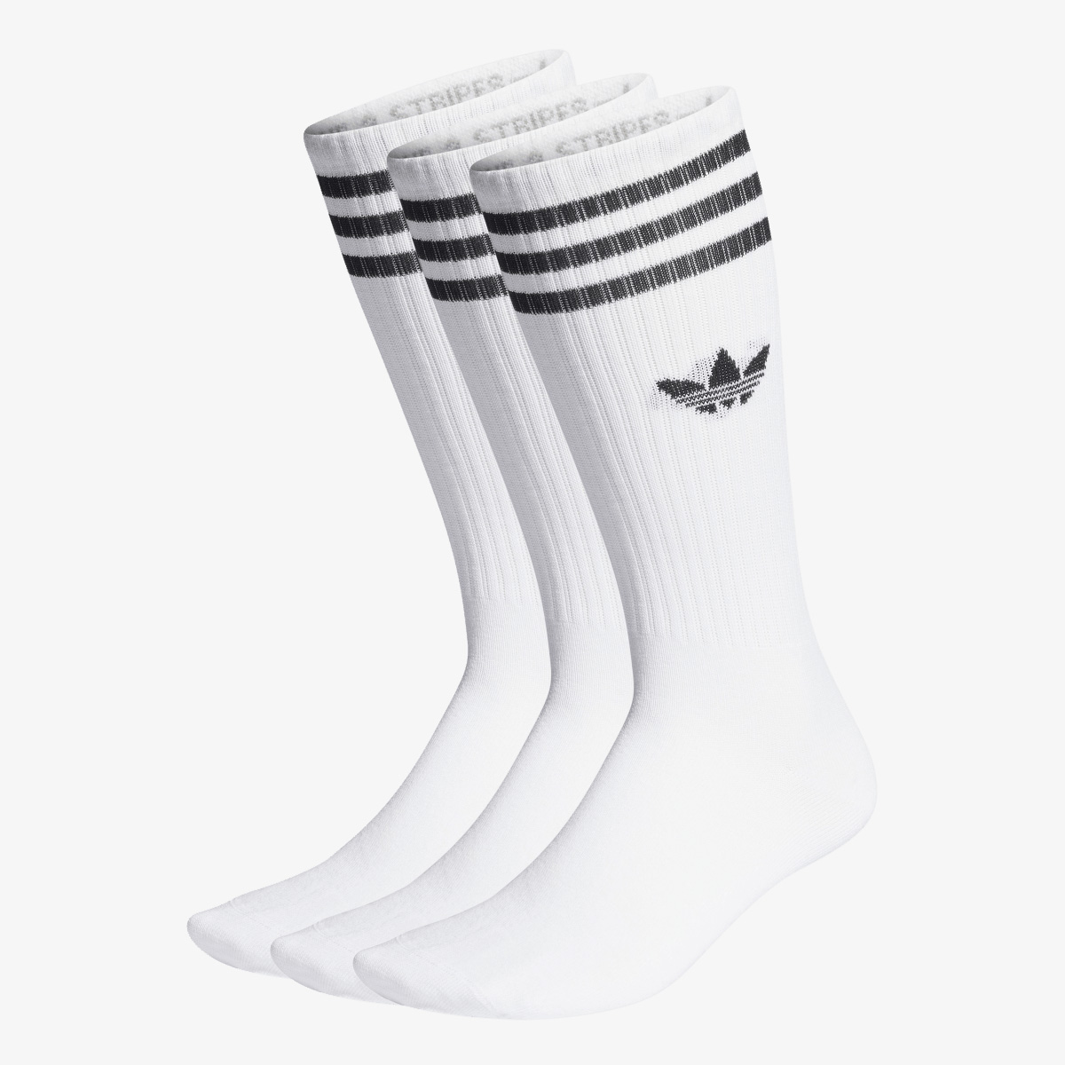 HIGH CREW SOCK 