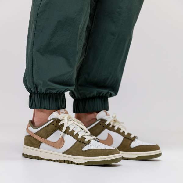 NIKE DUNK LOW RETRO PRM 